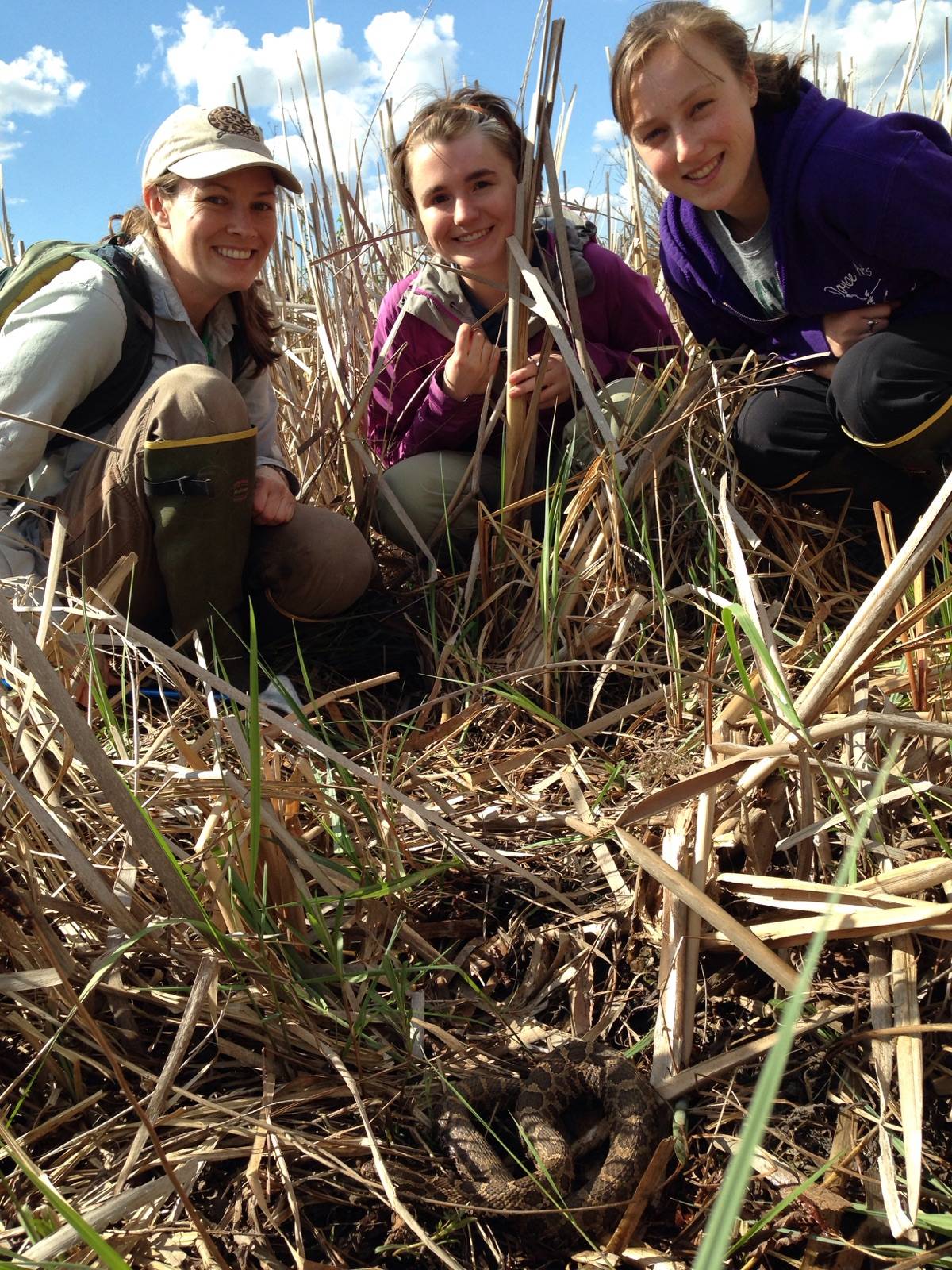 2021 May New Biology Majors InterChange Newsletter Grand Valley